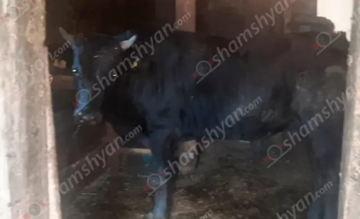 any