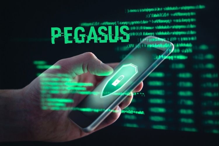article-image