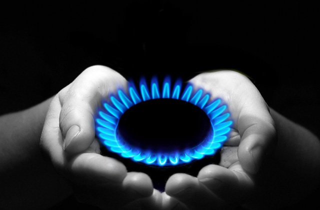 article-image
