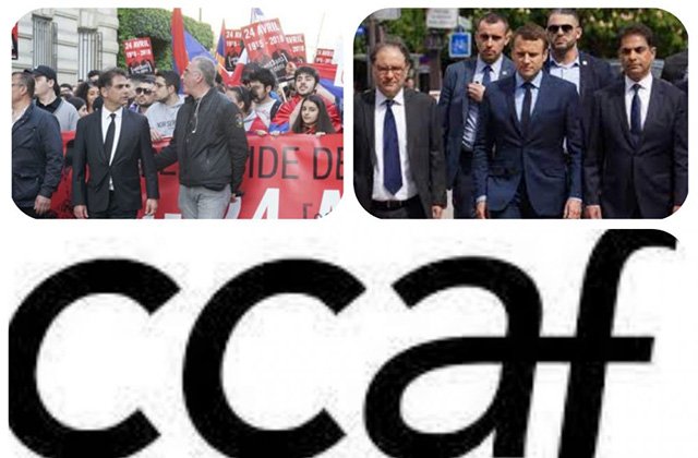 article-image