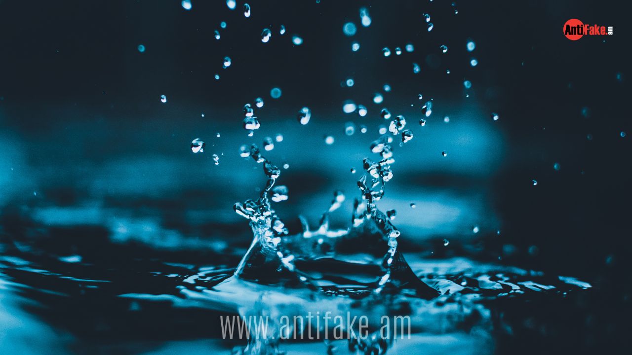 article-image