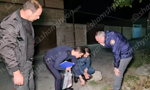 article-image